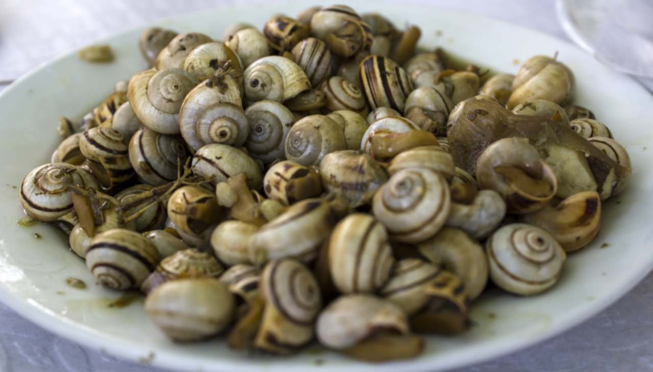 "Cuzzeddhre" sarebbero le lumache di terra salentina in padella con la cipolla e l’alloro, piatto della tradizione salentina.