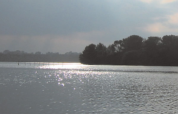 Particolare del "Parco dei Laghi Alimini", Otranto, Lecce.
