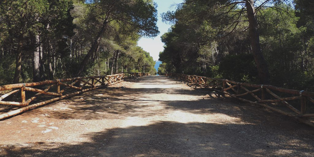 Sentiero che porta alla spiaggia di "Porto Selvaggio", Porto Cesareo, Lecce.