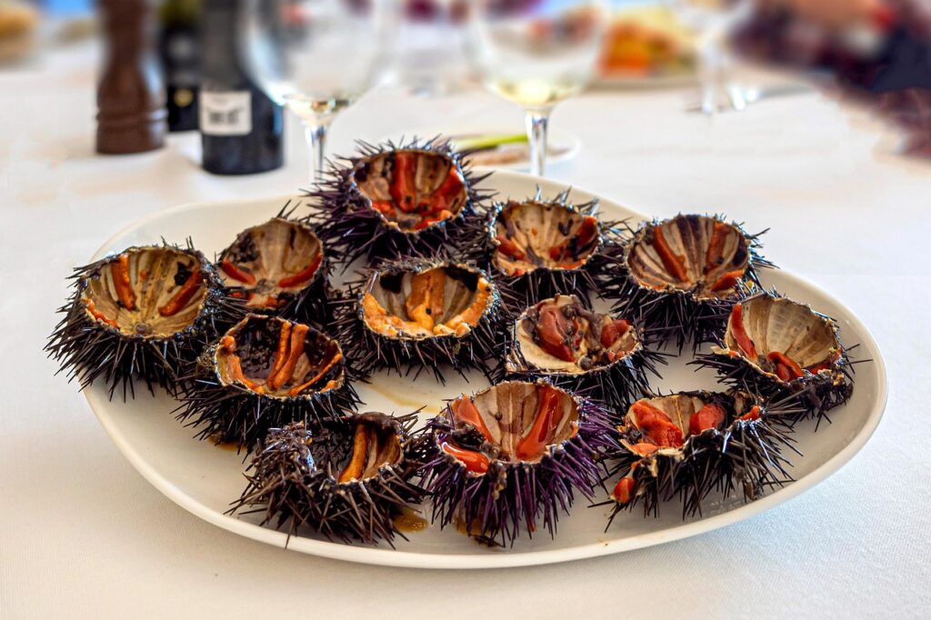 Un piatto di ricci di mare pronti per essere gustati.